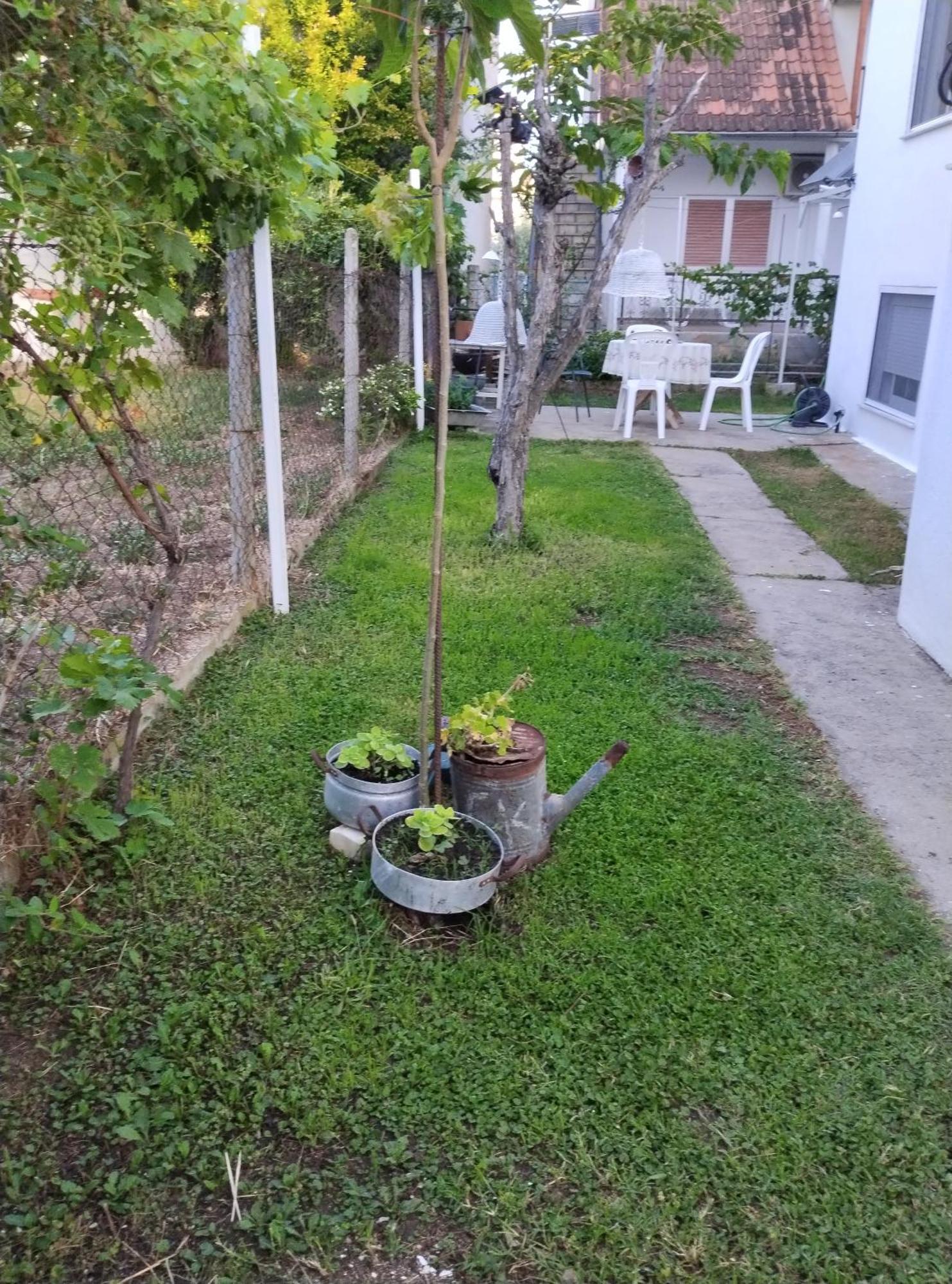 Villa Θαλασσινή Αυρα Vrasná Exterior foto