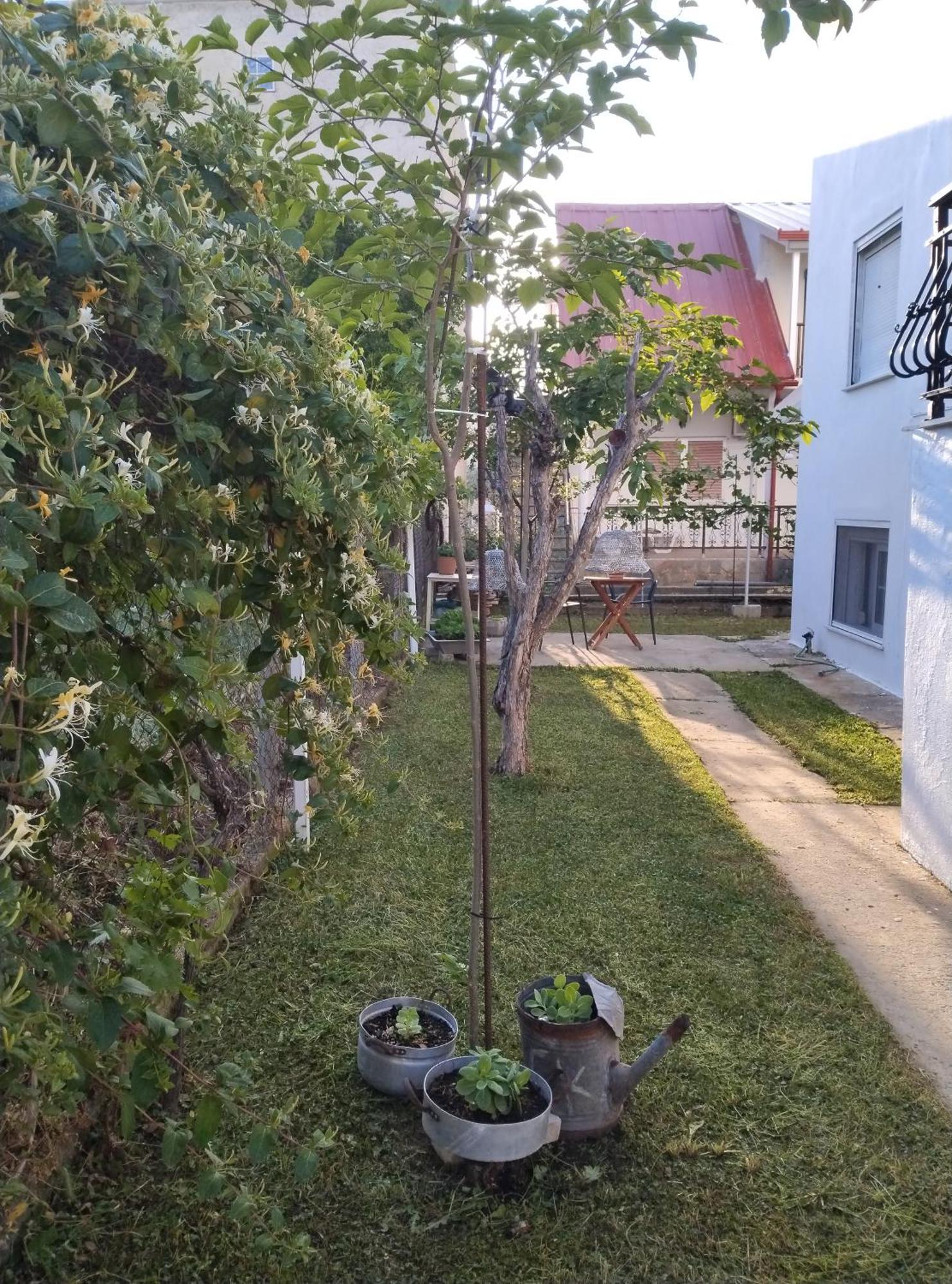 Villa Θαλασσινή Αυρα Vrasná Exterior foto
