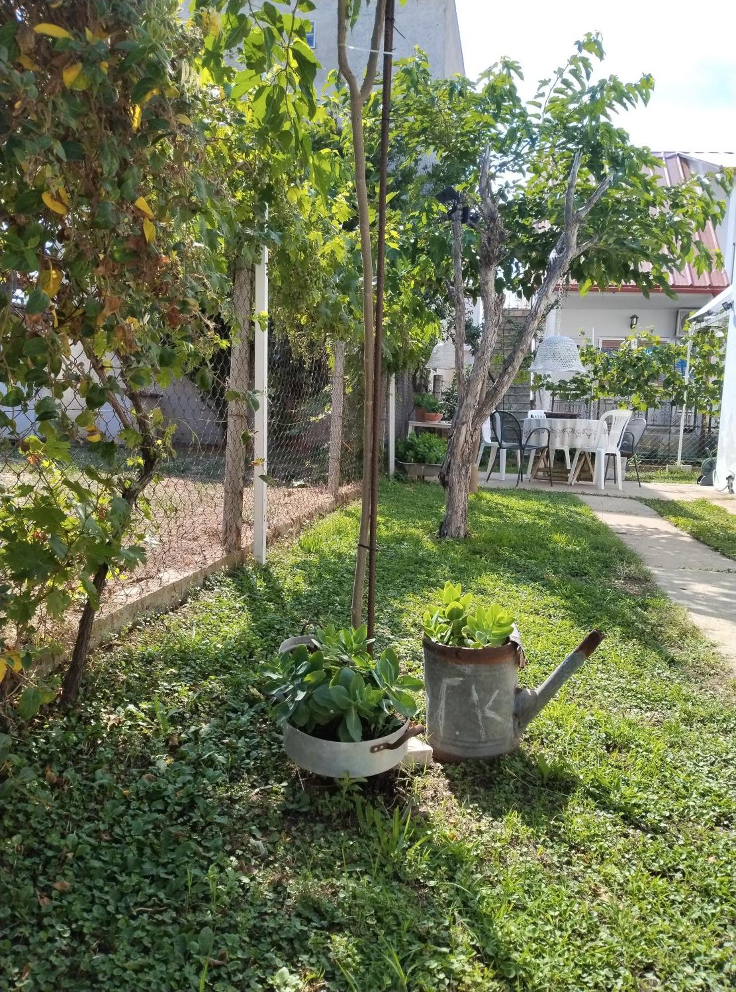 Villa Θαλασσινή Αυρα Vrasná Exterior foto
